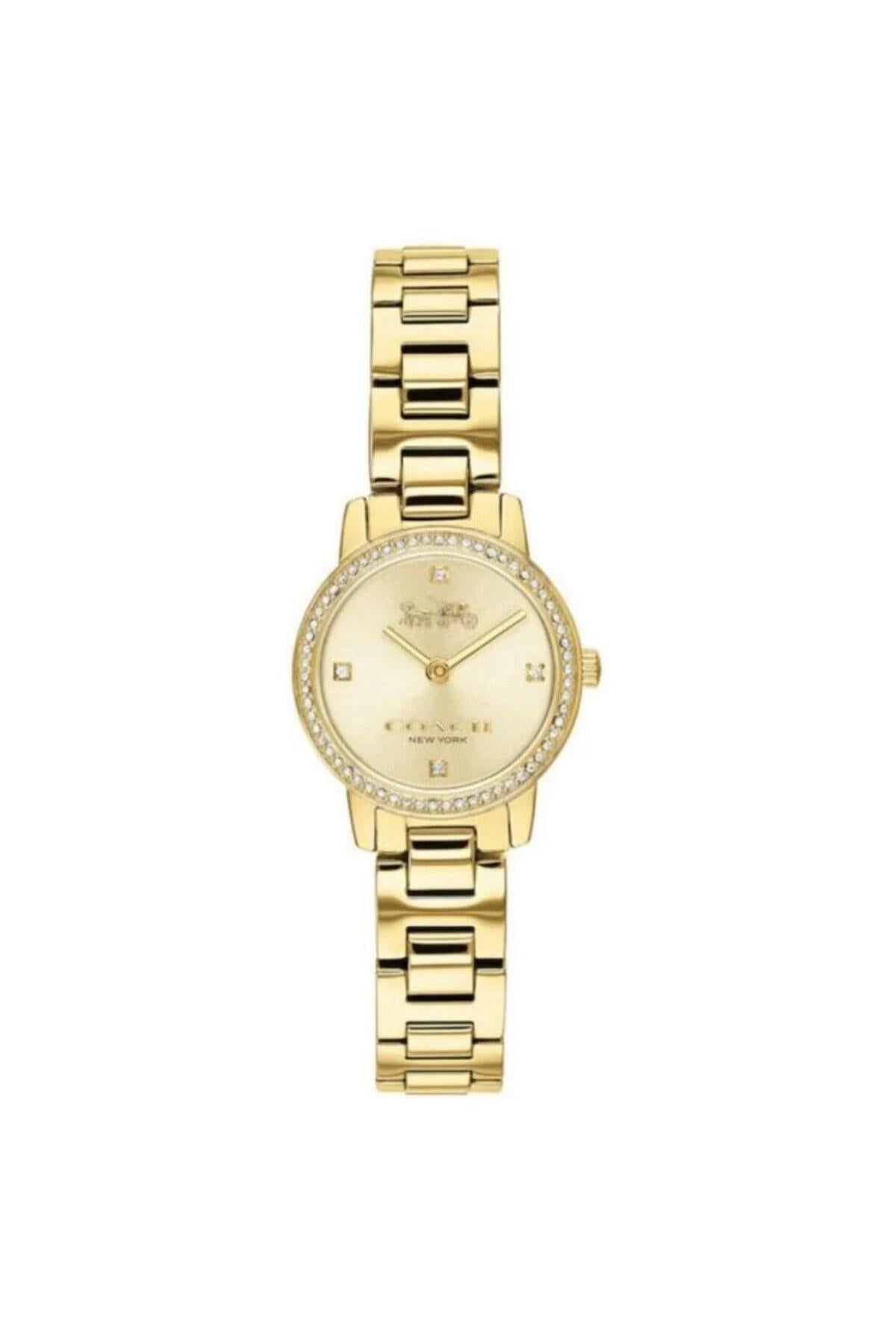 Audrey Gold Tone Stainless Steel Quartz 14503367 Women's Watch - Image 1